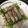 あやこぉ。's cooksnap of when they made 5分で料理！簡単レンジで豆苗豚バラ巻.