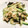 はるシェフ's cooksnap of when they made ツナときゅうりとわかめのマヨネーズ和え.