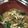 クックG85MP2☆'s cooksnap of when they made 小松菜と豚肉の春雨煮.