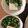 ﾌﾞﾚﾝﾀﾞ's cooksnap of when they made オクラおかかの冷奴.