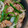 1000マイル's cooksnap of when they made 食欲が出る！ナスと豚肉の中華炒め.