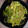 YUUmama312's cooksnap of when they made 簡単すぎる！無限豆苗炒め.