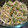 いちじくのコンポート's cooksnap of when they made 簡単\大豆もやしと豆苗のナムル/節約.
