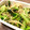 ウマナミ's cooksnap of when they made もやしと小松菜の胡麻酢和え.