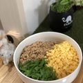 naohyw's cooksnap of when they made レンジで簡単!そぼろごはん.
