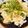 あき☆☆☆☆'s cooksnap of when they made 冷やしナスとたたき長いものサラダ.