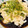 あき☆☆☆☆'s cooksnap of when they made 冷やしナスとたたき長いものサラダ.
