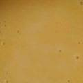 ぷちゃごん's cooksnap of when they made 意外と簡単！とうもろこしでポタージュ.