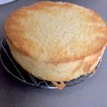 たーむさん's cooksnap of when they made 失敗なし！しっとりふわふわ美味スポンジ♡.