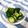 なおタウリン's cooksnap of when they made 簡単！うま♪うま♪キュウリのお漬物✿.
