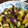 ウッシー母's cooksnap of when they made 麺つゆで！甘めの茄子とピーマンの煮浸し.