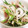 ７２３'s cooksnap of when they made 旬です！ちくわのみょうがと大葉和え.
