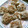 ねこはがき's cooksnap of when they made あの味を目指したシュウマイ.