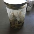 そのうち老々's cooksnap of when they made 簡単常備菜☆きのこマリネ.