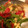 yuko16's cooksnap of when they made じゃがいもと牛肉の青椒肉絲風.