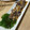 lovemoco's cooksnap of when they made 簡単・時短【レバーの下処理】.