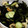 もんこ620's cooksnap of when they made ちくわときゅうりのわさびしょうゆかけ.