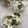 yuminan47k's cooksnap of when they made 素麺の酢の物。.
