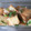 クックVHW3QN☆'s cooksnap of when they made 厚揚げで☆本格揚げ出し豆腐.