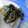 まっこりこりん's cooksnap of when they made 菜の花の明太マヨ和え♪♪.