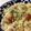 しげその's cooksnap of when they made 炊飯器で☆イタリアンピラフ.