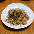 msft5632's cooksnap of when they made 野菜たっぷり豚の生姜焼き.