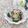 Satoco❋'s cooksnap of when they made パリッと手間なし生姜風味☆胡瓜のお漬物.