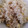 AiYuKE's cooksnap of when they made 簡単！とうもろこしご飯.