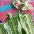 ７２３'s cooksnap of when they made 種の散らばらないピーマンパプリカの切り方.