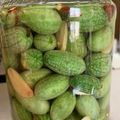 ゆぅゆv's cooksnap of when they made 新野菜！？マイクロきゅうりのピクルス.