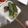 ﾌﾞﾚﾝﾀﾞ's cooksnap of when they made ☆野菜のぬか漬け☆.