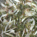 サーフブレイド's cooksnap of when they made 新たまねぎとめかぶの二杯酢和え.