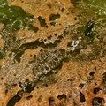 れそそ's cooksnap of when they made サクサク☆少ない衣と油でシソの天ぷら.