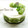 ♪cooking♪'s cooksnap of when they made キウィのヨーグルトムース.