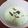 クックLJ2W4Q☆'s cooksnap of when they made 胡瓜の冷製スープ.