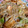 ぐーたりん88's cooksnap of when they made 厚揚げともやしとネギのみそ炒め.