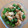 くいしんぼんぼん's cooksnap of when they made 万願寺とお揚げの甘辛炒め.