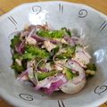 腹ペコきっちゃん's cooksnap of when they made ゴーヤと玉ねぎのシーチキンサラダ.