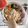 KaiN0906's cooksnap of when they made 1歳からの幼児もꉂ簡単〜サラダうどん♡.