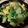 しらたまこむぎ's cooksnap of when they made しらすたっぷりチンゲン菜と玉子の炒めもの.