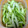 しゅんのま's cooksnap of when they made 簡単！セロリの浅漬け.