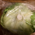 クック9ZFQ8Y☆'s cooksnap of when they made レタスの芯の抜き方＆鮮度を保つ保存法.