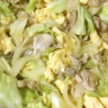 hirokumi93's cooksnap of when they made きゃべつと豚肉の中華炒め.
