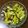 クックD47QAT☆'s cooksnap of when they made 韓国かぼちゃの塩昆布和え.