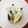 みんみのキッチン's cooksnap of when they made 簡単☆茄子とみょうがの塩麹さん漬け.