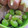 紅葉ｙ's cooksnap of when they made 枝豆とツナのコンソメ炒め.