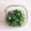 アクセル☆'s cooksnap of when they made オクラと青シソの麺つゆ和え.