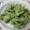 トモーピー's cooksnap of when they made こごみの明太マヨあえ.