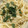 クックM6DK2O☆'s cooksnap of when they made お吸い物の素で釜玉風うどん&茶碗蒸し風！.