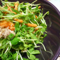 yukanosuke's cooksnap of when they made 超簡単☆豆苗とツナの和え物.